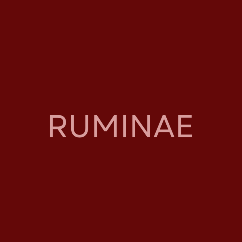 RUMINAE